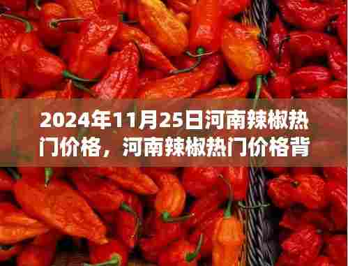 河南辣椒热门价格背后的励志故事,自信成就梦想之路的探寻与启示(日期,XXXX年XX月XX日)