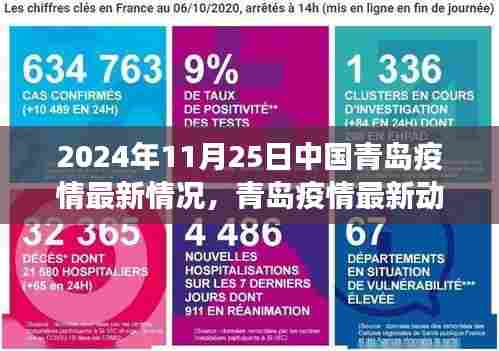青岛疫情最新动态,聚焦防控进展与现状,共同关注青岛疫情最新情况(2024年11月25日)