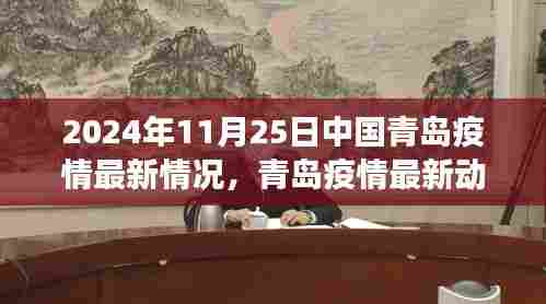 青岛疫情最新动态,聚焦防控进展与现状,共同关注青岛疫情最新情况(2024年11月25日)
