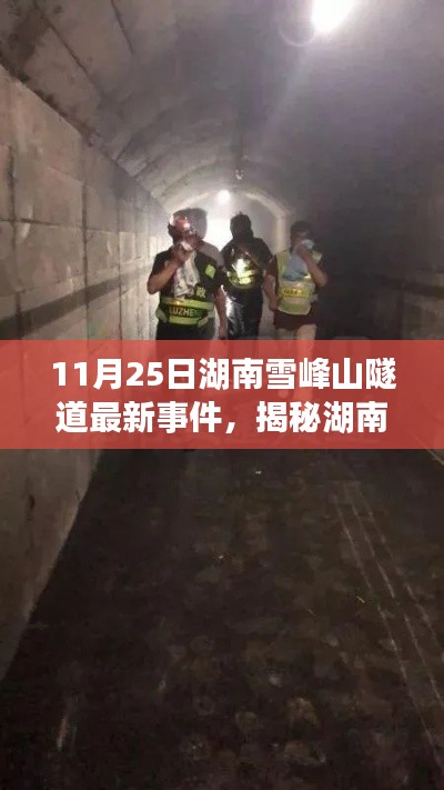 11月25日湖南雪峰山隧道最新事件,揭秘湖南雪峰山隧道最新事件,深入探究事件真相