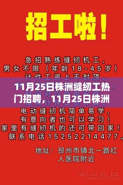 11月25日株洲缝纫工招聘启事，掌握技艺，匠心人生之门开启