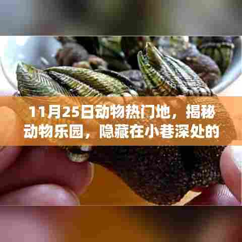 揭秘动物乐园美食秘境,小巷深处的独特美食之旅(11月25日动物热门地)