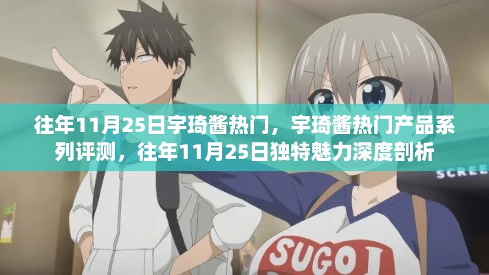 往年11月25日宇琦酱风靡之谜,热门产品深度评测与独特魅力剖析