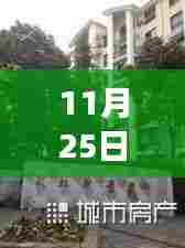 11月25日枣强个人二手房出售信息最新详解与全面评测