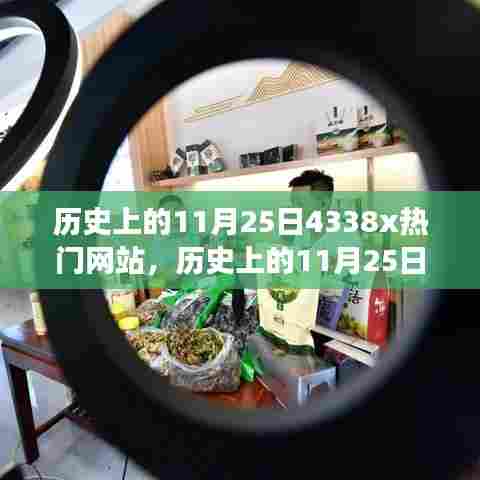 探寻数字世界的热门变迁,历史上的11月25日回顾与展望