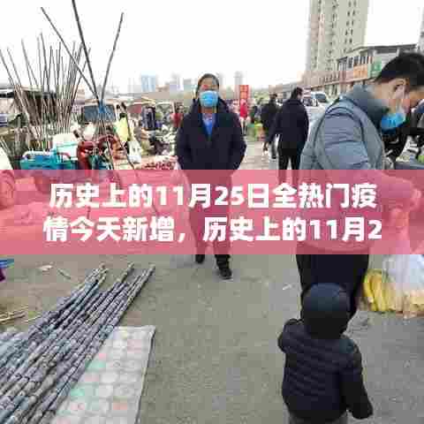 历史上的11月25日疫情数据解析与今日新增处理指南，疫情数据对比与应对策略探讨