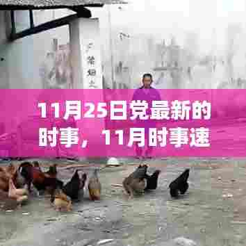 紧跟党的步伐,洞悉最新时事动态,11月时事速递报告