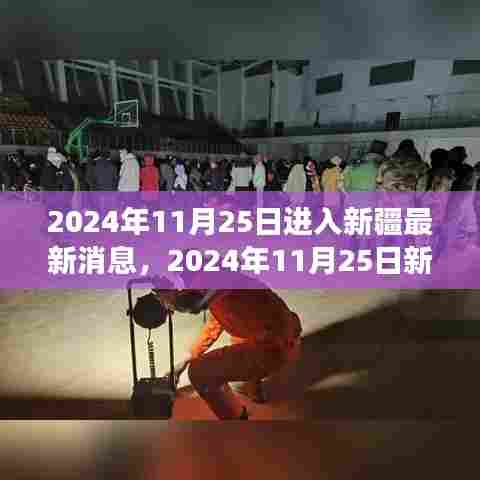 从某某观点看，2024年11月25日新疆最新动态探析与最新消息解析