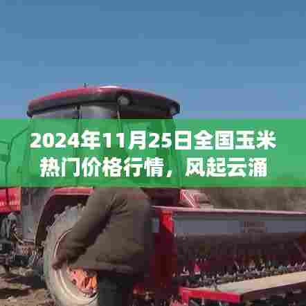 揭秘2024年玉米市场热门价格行情,风起云涌