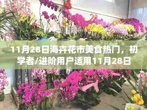 11月28日海卉花市美食指南,从初学者到进阶用户的烹饪探索之旅