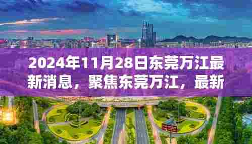 东莞万江最新消息聚焦，多元观点探讨下的最新动态（2024年11月28日）