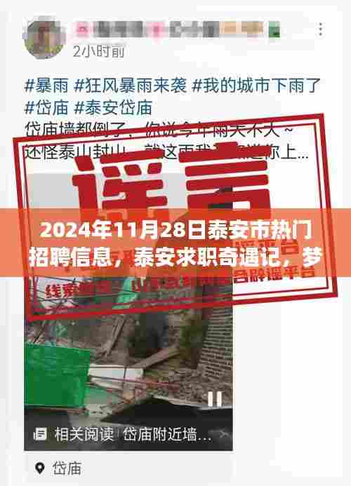 泰安求职奇遇记,梦想与友情的邂逅——2024年泰安市热门招聘信息汇总