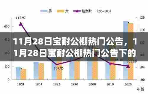 从某某视角看宝耐公棚热门公告，影响深远
