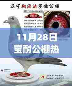 从某某视角看宝耐公棚热门公告,影响深远