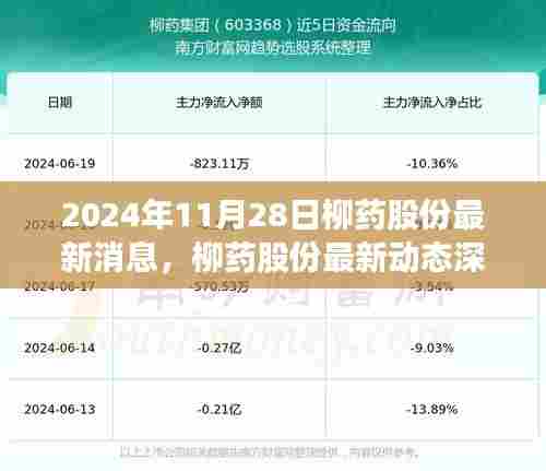 柳药股份最新动态深度解析,把握机遇与挑战,洞悉未来发展趋势(2024年11月28日)