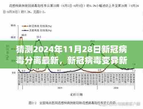 探寻新冠病毒变异新篇章,2024年预测与影响分析