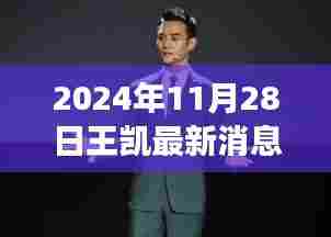 2024年11月28日王凯最新消息，王凯演艺之路新动向，2024年11月28日的视角