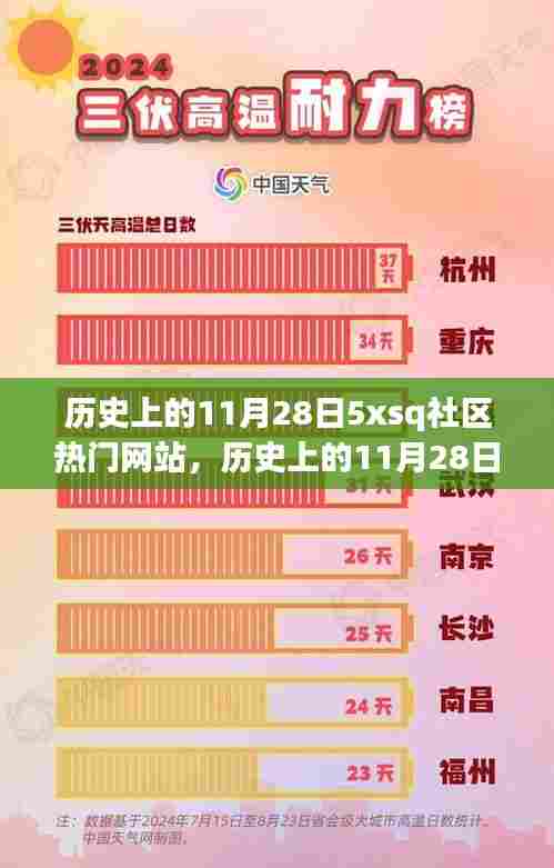 历史上的11月28日,5xsq社区网站热门事件与全面评测回顾