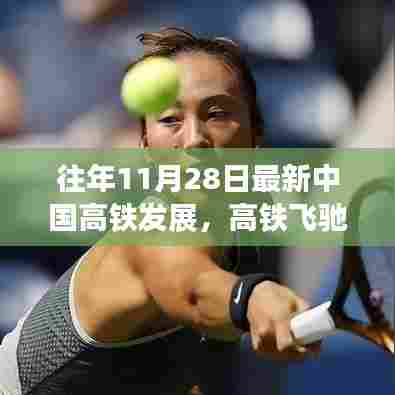 鸢飞鱼跃 第5页