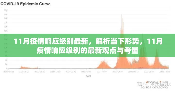 11月疫情响应级别最新解析,形势分析与最新观点