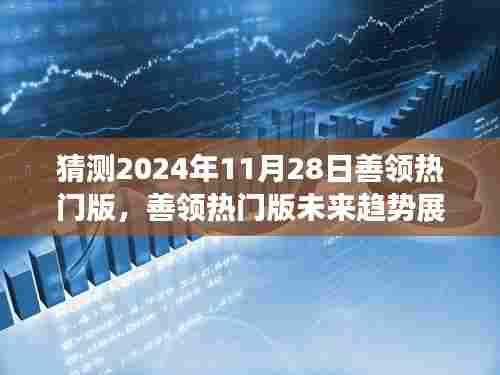 2024年11月28日善领热门版展望,未来趋势与猜想