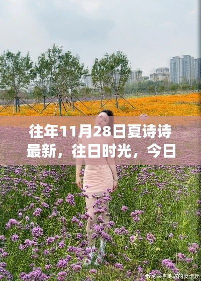 夏诗诗的自然美景治愈之旅,往日时光与今日探索的交汇点