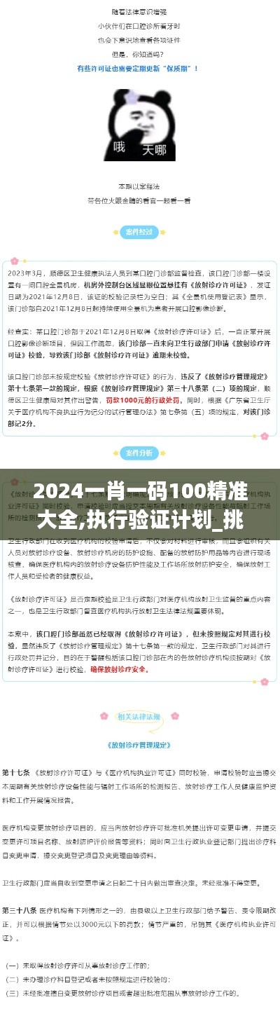 2024一肖一码100精准大全,执行验证计划_挑战版ZSS9.689