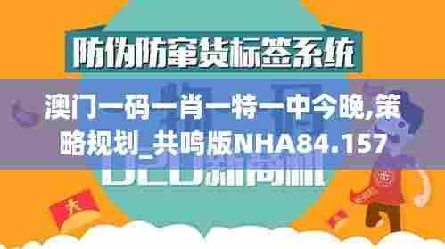 澳门一码一肖一特一中今晚,策略规划_共鸣版NHA84.157