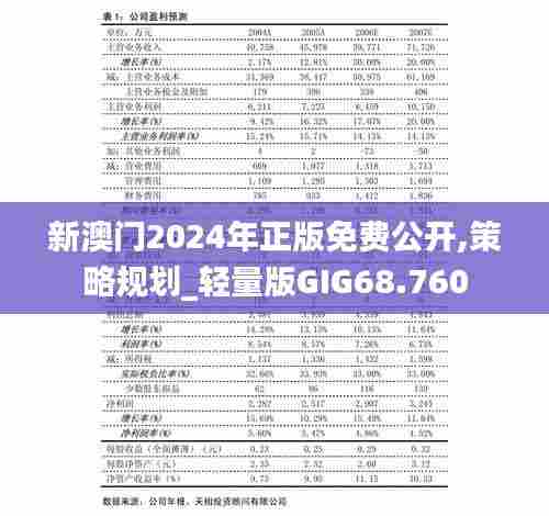 新澳门2024年正版免费公开,策略规划_轻量版GIG68.760