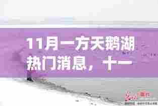 天鹅湖畔的十一月热门焦点揭秘,背景、事件与地位