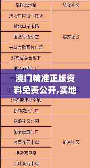 澳门精准正版资料免费公开,实地验证研究方案_明亮版DPA3.409