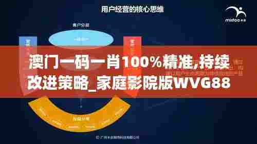 澳门一码一肖100%精准,持续改进策略_家庭影院版WVG88.338