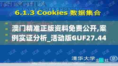 澳门精准正版资料免费公开,案例实证分析_活动版GUF27.444