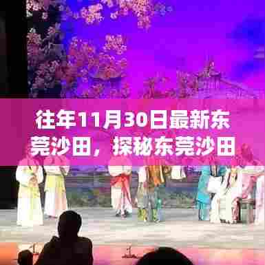 探秘东莞沙田小巷深处的隐藏瑰宝,非凡之旅之特色小店揭秘