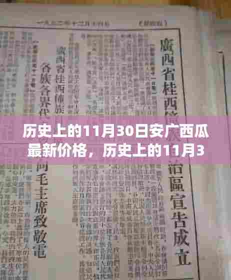 历史上的11月30日安广西瓜价格回顾,心灵之旅与甜蜜美景的探寻