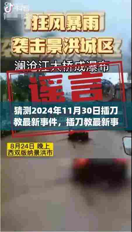 揭秘插刀教最新事件,特性、体验、竞品对比及用户群体深度分析(预测2024年11月)