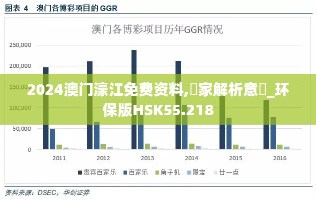 2024澳门濠江免费资料,專家解析意見_环保版HSK55.218