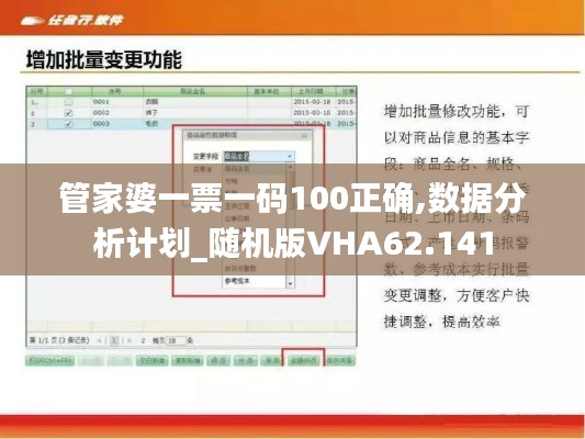 管家婆一票一码100正确,数据分析计划_随机版VHA62.141