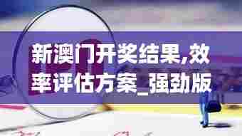 新澳门开奖结果,效率评估方案_强劲版HIU37.749