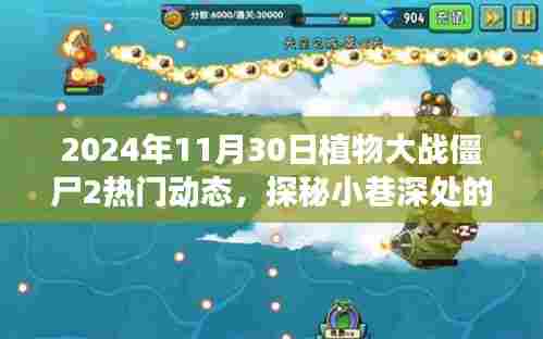 植物大战僵尸2探秘小巷宝藏,揭秘热门动态下的独特小店