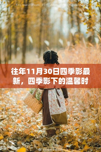秋日奇遇，四季影下的温馨时光与四季影最新记忆