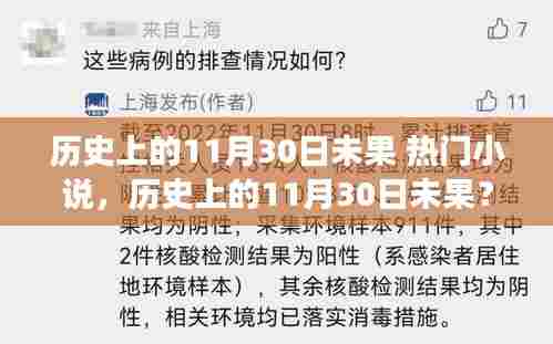 历史上的11月30日未果,踏上自然之旅,探寻内心宁静港湾