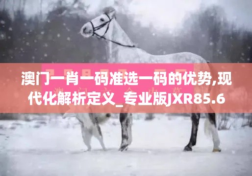 澳门一肖一码准选一码的优势,现代化解析定义_专业版JXR85.636