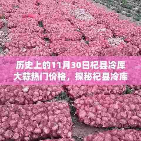 探秘杞县冷库大蒜,历史价格变迁与美食诱惑的揭秘之旅(附热门价格)