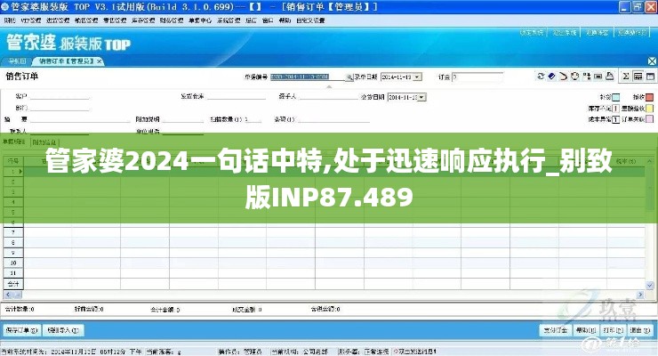 管家婆2024一句话中特,处于迅速响应执行_别致版INP87.489
