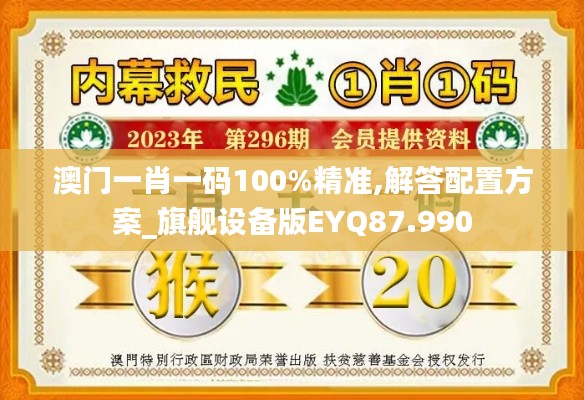 澳门一肖一码100%精准,解答配置方案_旗舰设备版EYQ87.990