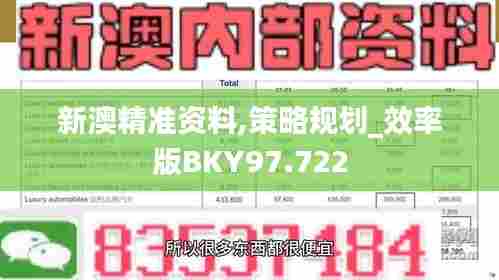 新澳精准资料,策略规划_效率版BKY97.722