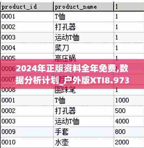 2024年正版资料全年免费,数据分析计划_户外版XTI8.973