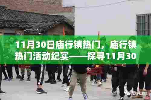 庙行镇11月30日盛况纪实,热门活动一览