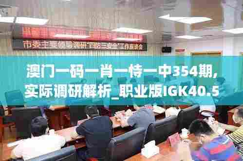 澳门一码一肖一恃一中354期,实际调研解析_职业版IGK40.519